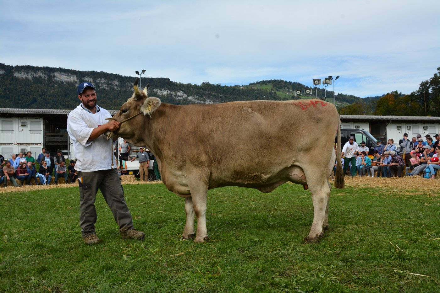 Die Originale Kamilo Carina Fredy Frank, Ennetbürgen) schaffte es unter den BS-Kühen auf den zweiten Schöneuter-Platz.