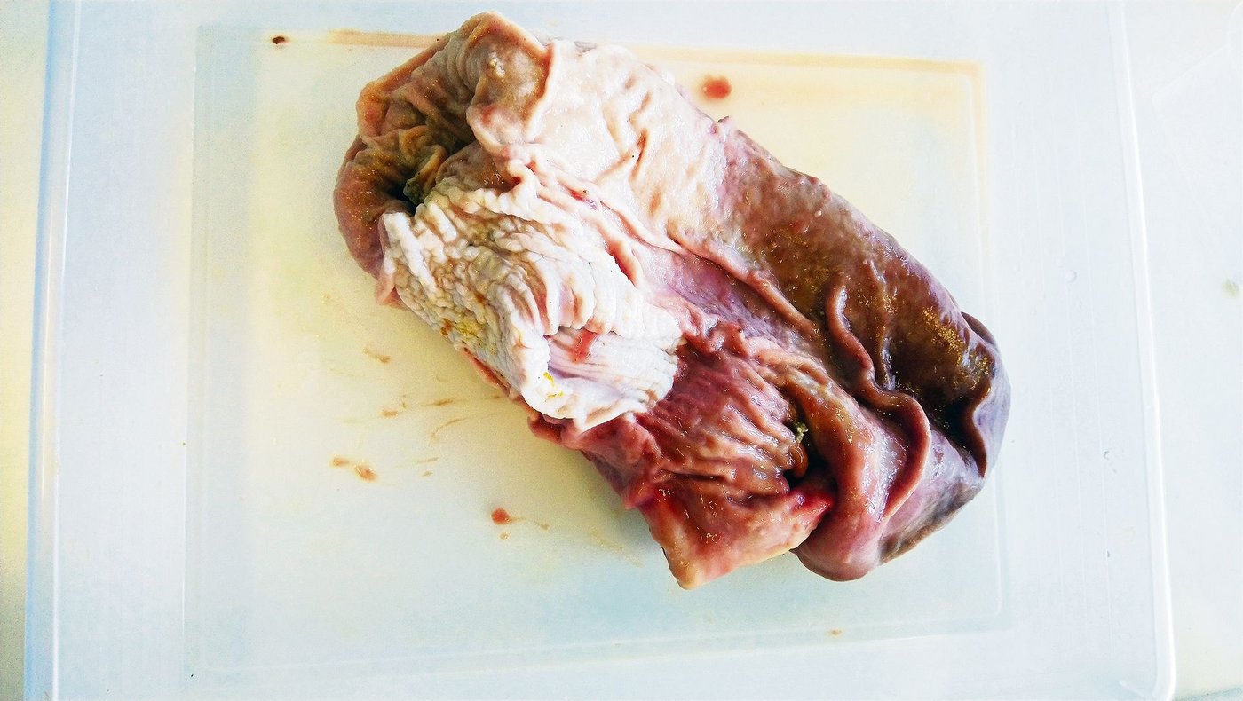 Die Schleimhaut bei einem gesunden Magen zeigt deutliche Unterschiede: Die dunkle Schleimhaut rechts schützt vor Magensäften. Die Schleimhaut am Mageneingang ist weiss.(Bilder BBZN Hohenrain)