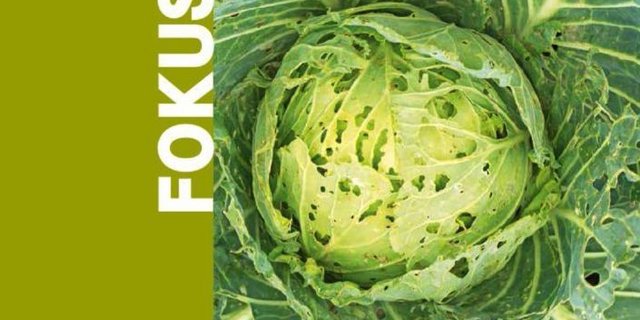 Mit der Broschüre will der SBV zeigen, dass Landwirtinnen und Landwirte Pflanzenschutzmittel nicht zum Spass einsetzen. (Bild SBV)