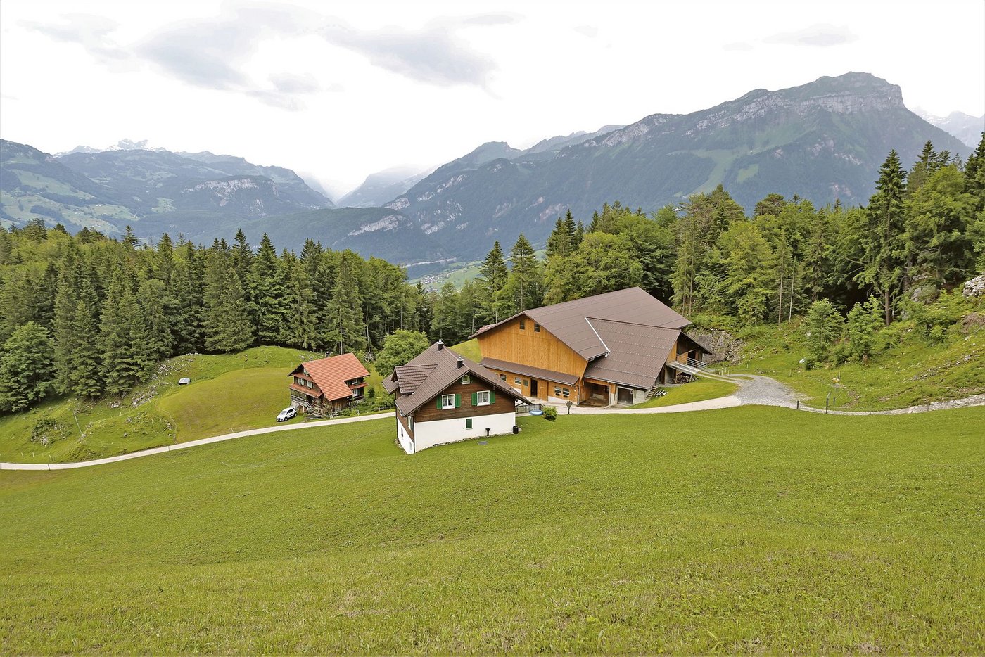 Der Betrieb Brunniberg liegt auf 1050 m ü.M. Das Wiesland erstreckt sich von 950 bis 1250 m ü.M.