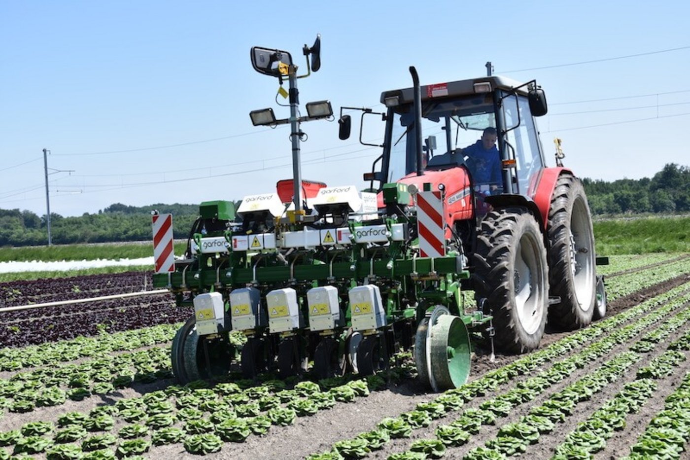 Der Jätroboter erkennt die Salate dank einer Kamera und Videobildanalyse. Die Fahrgeschwindigkeit darf nicht zu hoch sein, sonst wird zuviel Erde in die Salate geschleudert und die Kamera kommt nicht mehr mit. (Bilder Jasmine Baumann)