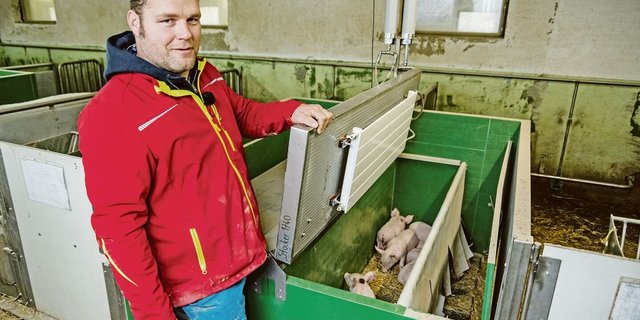 Hat umgerüstet: Schweinezüchter Thomas Stocker aus Obermumpf AG präsentiert eines seiner neuen Ferkelnester mit Warmwasserkollektoren.  