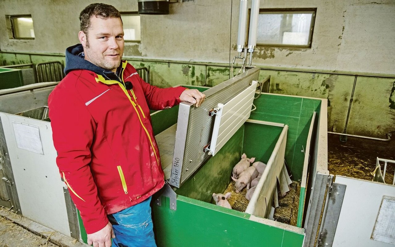 Hat umgerüstet: Schweinezüchter Thomas Stocker aus Obermumpf AG präsentiert eines seiner neuen Ferkelnester mit Warmwasserkollektoren. 