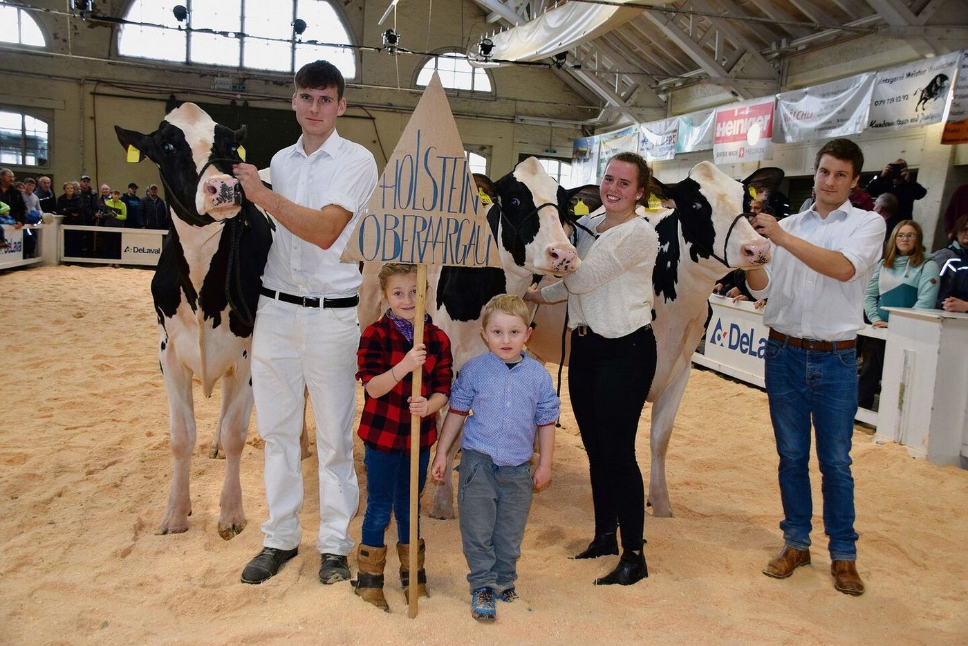 Beim Genossenschaftscup triumphierten die Oberaargauer Holsteinzüchter mit ihren drei jungen Kühen.