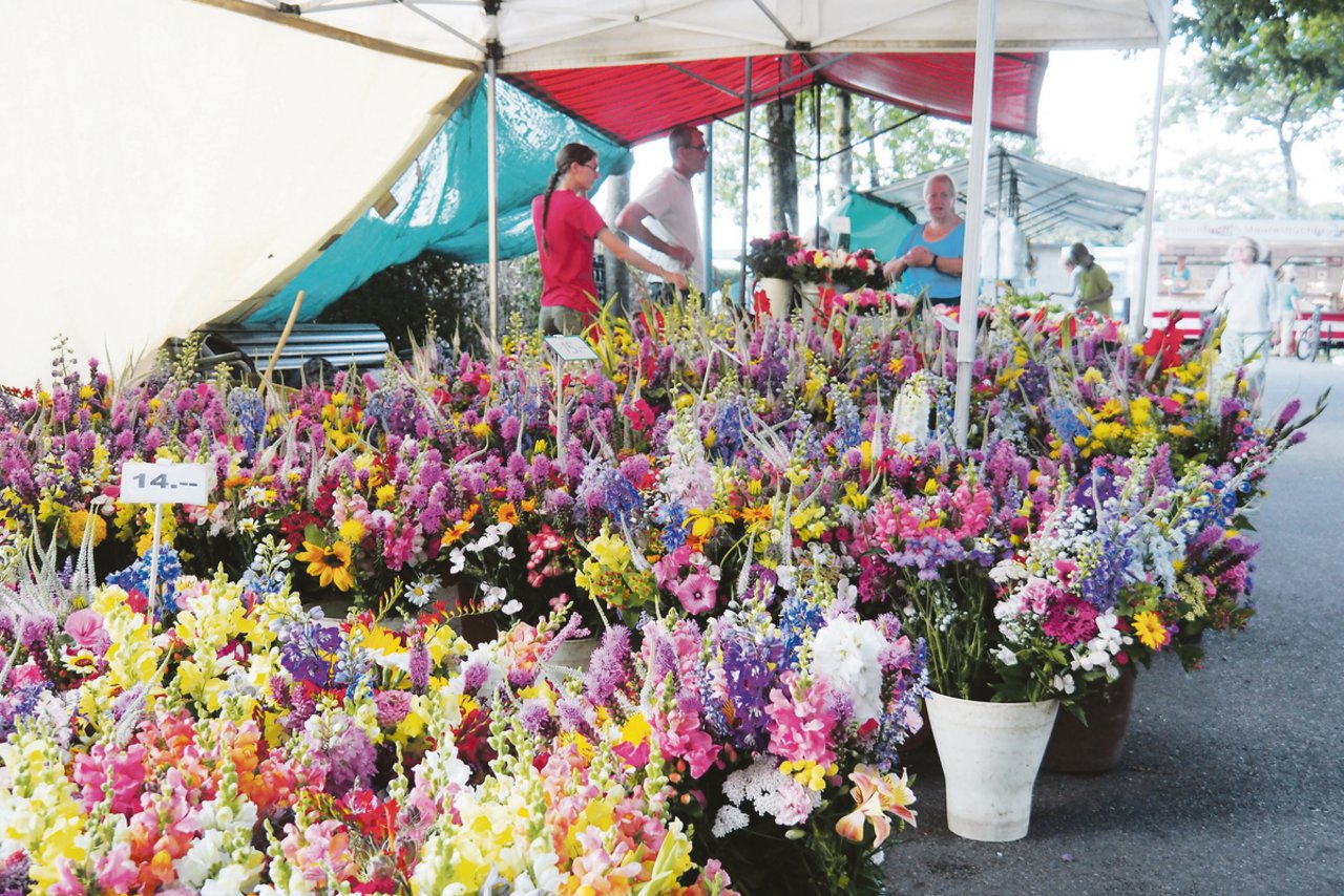 Neben einem umfassenden Angebot an Obst, Früchten und Gemüsen prägt ein Meer von Blumen das Bild des Marktes auf dem Bürkliplatz.