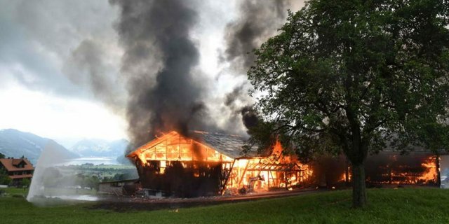 In Alpnach gerat am Dienstagmorgen ein Stall in Brand. (Bild Kapo Obwalden)