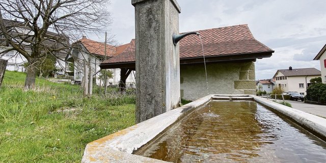 Einwandfreies Trinkwasser in den Urkantonen.  (Bild sjh)