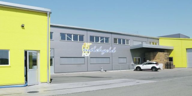 Die Milchgold Käse AG mietet Gebäude und Infrastruktur der Freiämter Käserei AG. Aktionäre der Freiämter Käserei sind mehrheitlich Landwirte aus der Region. (Bild Heinz Abegglen)