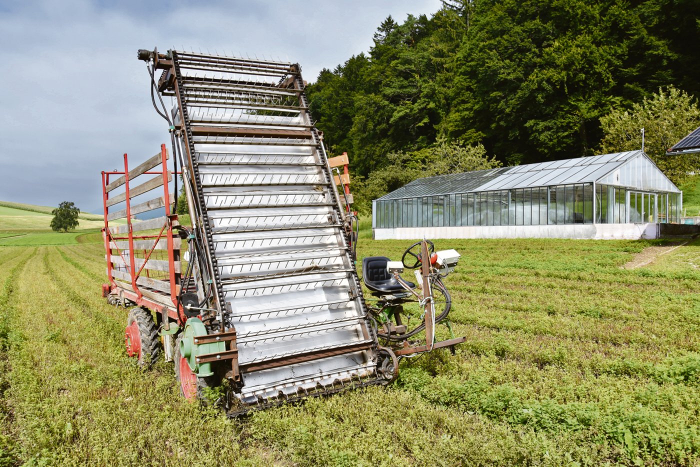 Jährlich werden mit dem alten, umgebauten Schilter etwas mehr als 14 Tonnen Kräuter geerntet.