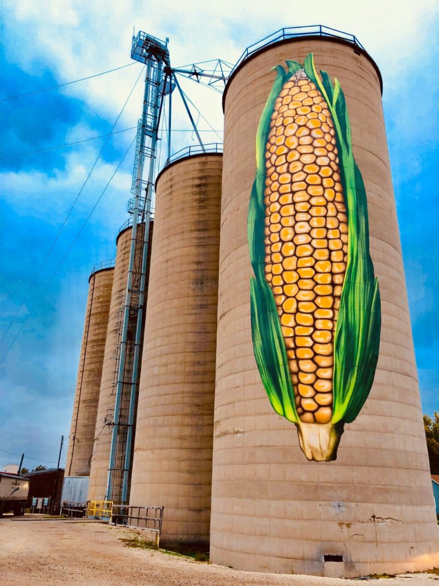 Ein bemaltes Silo im US-Staat Illinois. (Bild Max Armstrong)