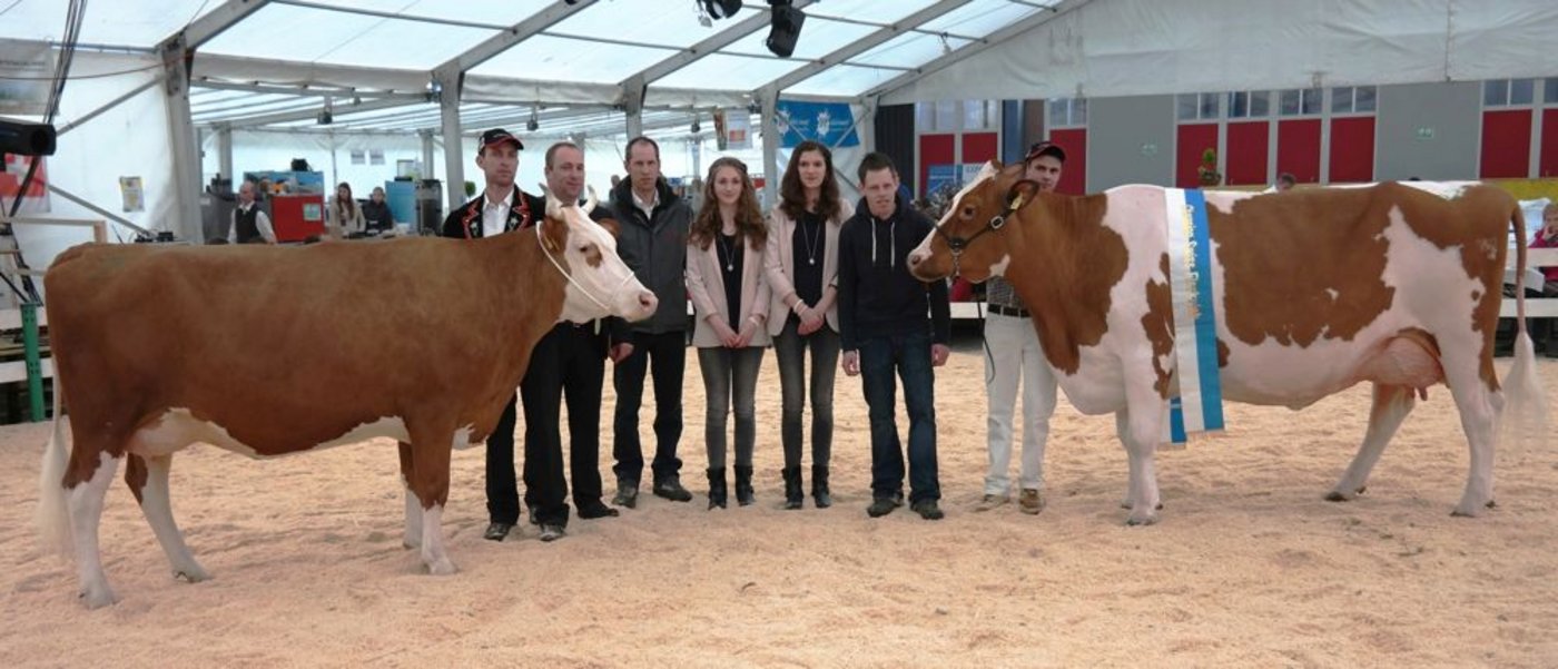 Championne Swiss Fleckvieh, BOJA BAROLO von Häfliger Mario 6113 Romoos und der Vize-Championne von VIRGINIA VINOS Schnider Walter 6173 Flühli LU. 