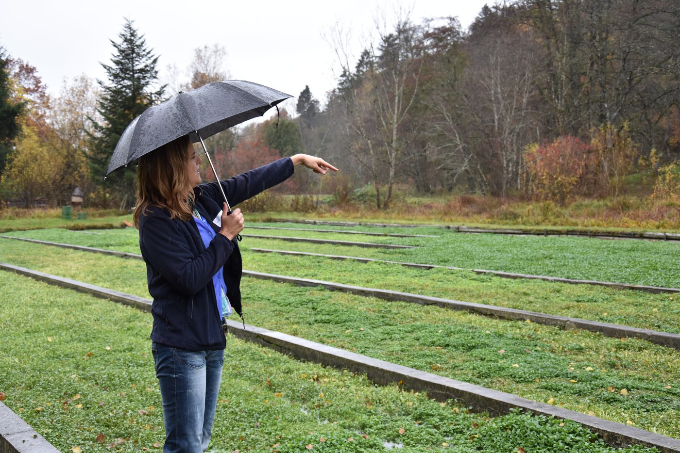 Bettina Springer zeigt den Medienvertretern die Brunnenkresse-Anlage in Wynau.