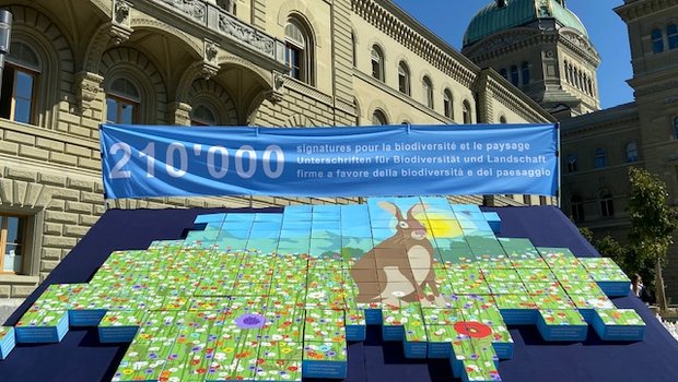 Für mehr Biodiversität und Landschaftsschutz: Zwei weitere Initiativen eingereicht Präsentation der Unterschriften für die Doppelinitiative in Puzzleform vor dem Bundeshaus. (Bild akr)