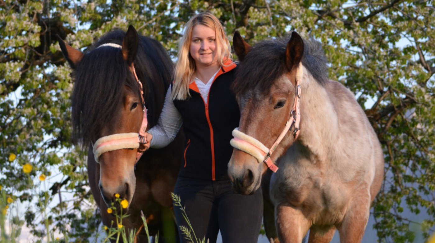 Tamara Wülser mit zwei ihrer  Ardenner-Pferde. (Bild zVg)