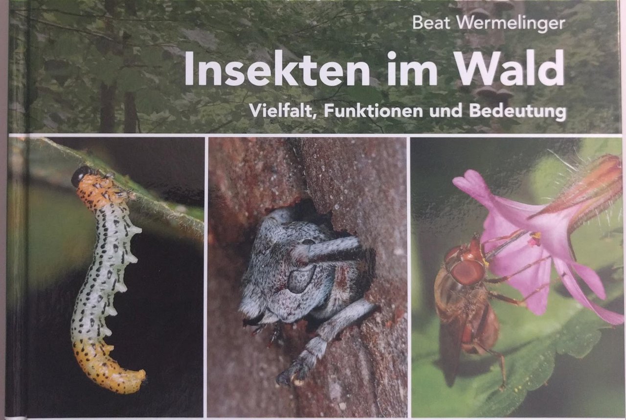 Das Insekten-Buch von Beat Wermelinger. (Bild BauZ)