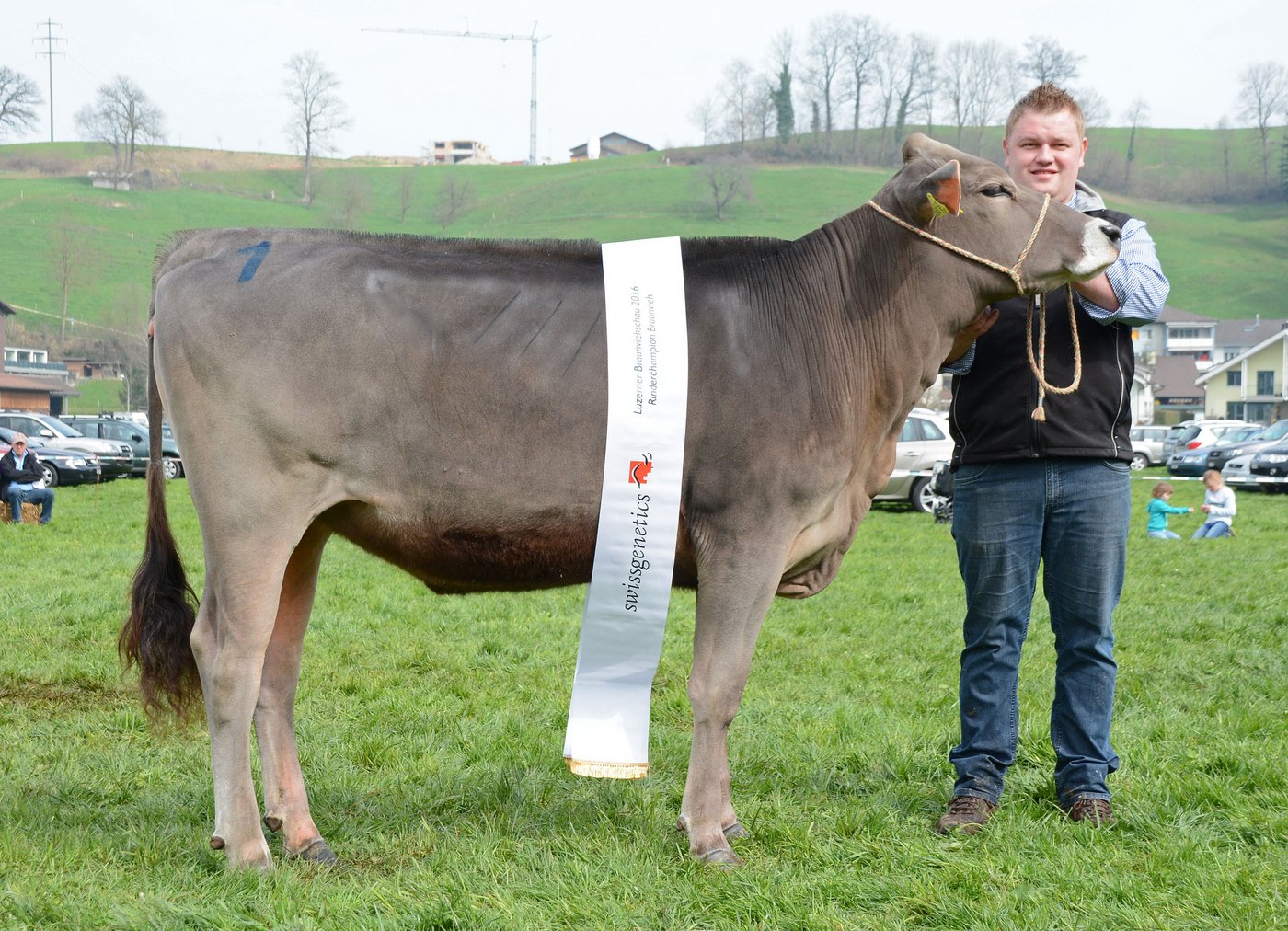 Rinder Champion Fantastic Fanell, Josef Hofstetter, Entlebuch