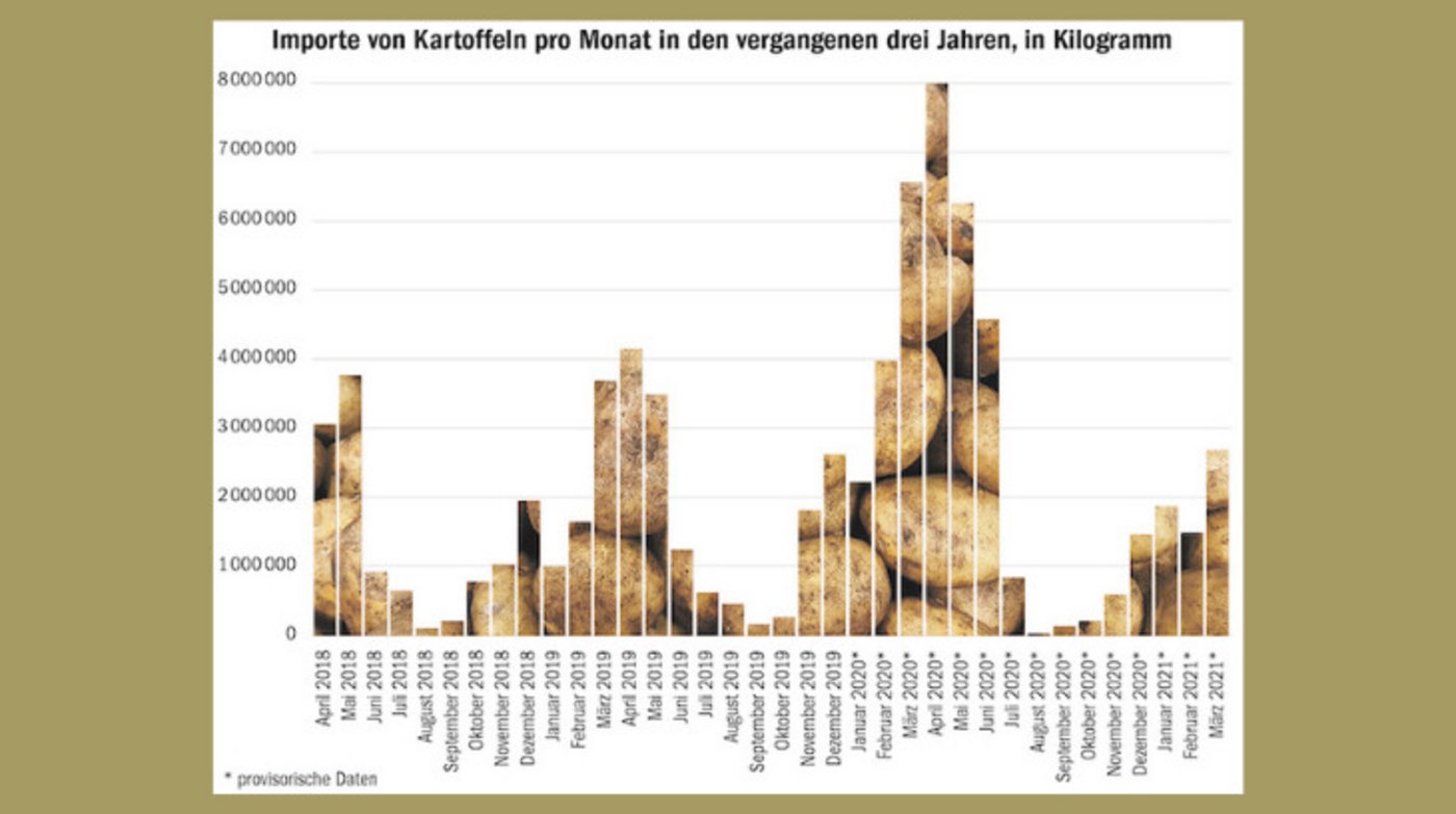 Jedes Jahr werden zwischen Januar und Mai Speisekartoffeln importiert. In den letzten Jahren waren dies zwischen 8000 und 15 000 Tonnen pro Jahr. (Grafik BauZ/Quelle EZV)