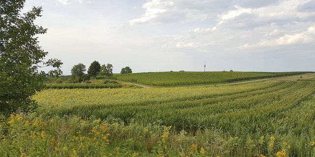 Ländliche Gebiete seien die Kraftzentren Deutschlands, so Agrarministerin Klöckner. (ji)
