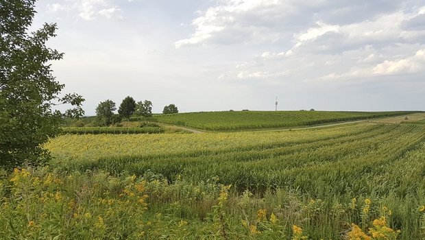 Ländliche Gebiete seien die Kraftzentren Deutschlands, so Agrarministerin Klöckner. (ji)
