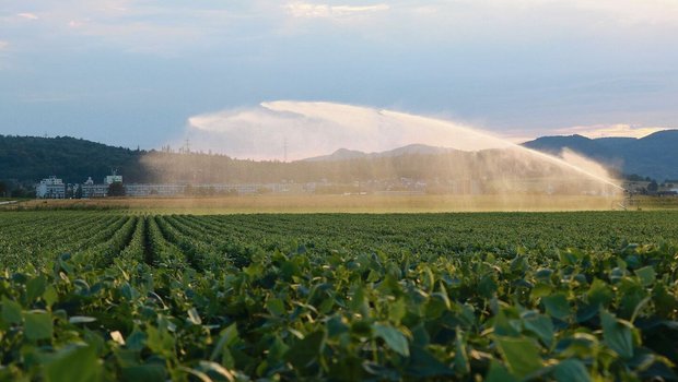 Ein Wasserwerfer im Ein Wasserwerfer im Birrfeld im Trockensommer 2022: Der Umgang mit der wertvollen Ressource stand am Liebegger-Tag der Spezialkulturen im Mittelpunkt.