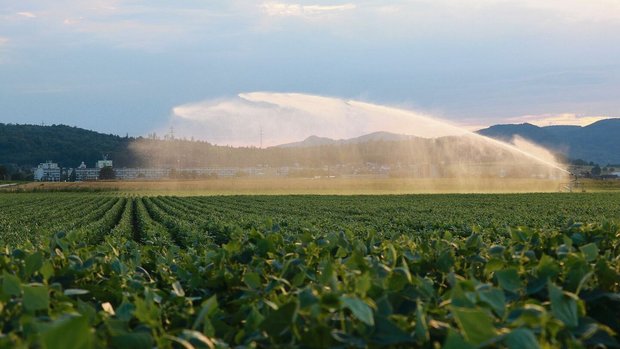 Ein Wasserwerfer im Ein Wasserwerfer im Birrfeld im Trockensommer 2022: Der Umgang mit der wertvollen Ressource stand am Liebegger-Tag der Spezialkulturen im Mittelpunkt.