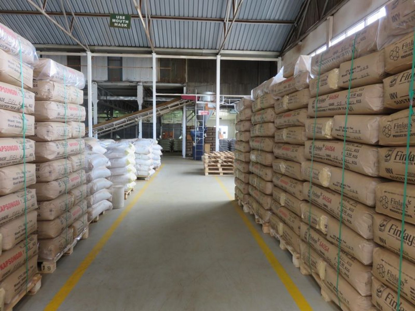 Der fertige, gemahlene Tee, wartet in Beutel verpackt und gestapelt auf den Export.