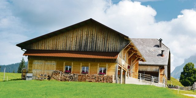 Spätestens im 64. Altersjahr sollte man den Hof verkaufen.(Bild pf)