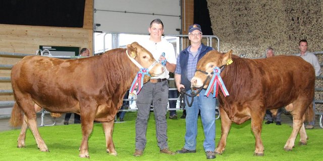 Der Limousin-Champion Thunstetten’s Housi (rechts) galt 11'000 Franken und der Vize-Champion Burris Rimus 6000 Franken. (Bild Hans Rüssli)