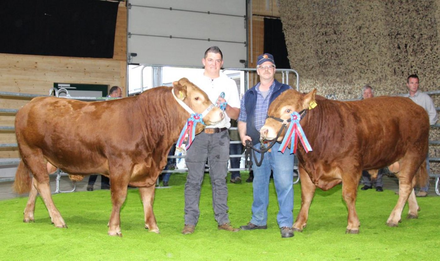 Der Limousin-Champion Thunstetten’s Housi (rechts) galt 11'000 Franken und der Vize-Champion Burris Rimus 6000 Franken. (Bild Hans Rüssli)