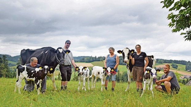 Therese und Martin Wyss-Brunner mit den Kühen Sonyboy Meri und Chief Sydney. Unterstützt werden sie von den Eltern Ueli und Lotti Brunner sowie vom Bruder Robert Brunner.