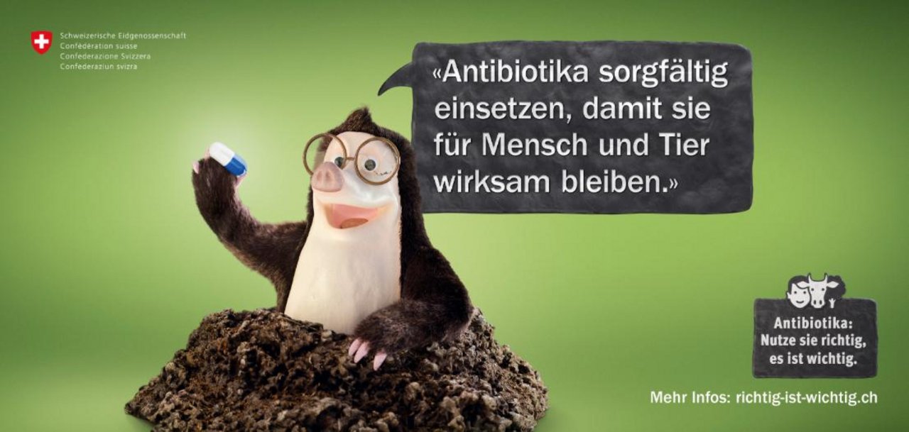 Der Bund hat heute seine Kampagne zum Umgang mit Antibiotika unter dem Slogan: «Nutze sie richtig, es ist wichtig» gestartet. (Screenshot Website BAG)