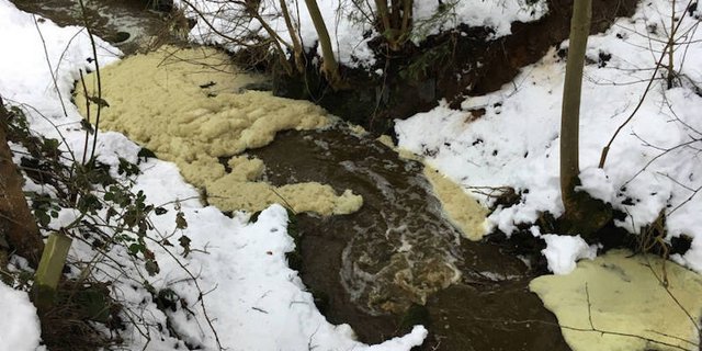 Durch die Verschmutzung sind zahlreiche Bachforellen verendet. (Bild Zuger Polizei) 