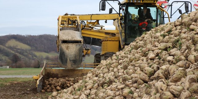 Die Biokampagne in Frauenfeld ist abgeschlossen. Es gibt weiterhin Verzögerungen in Aarberg. (Bild BauZ)