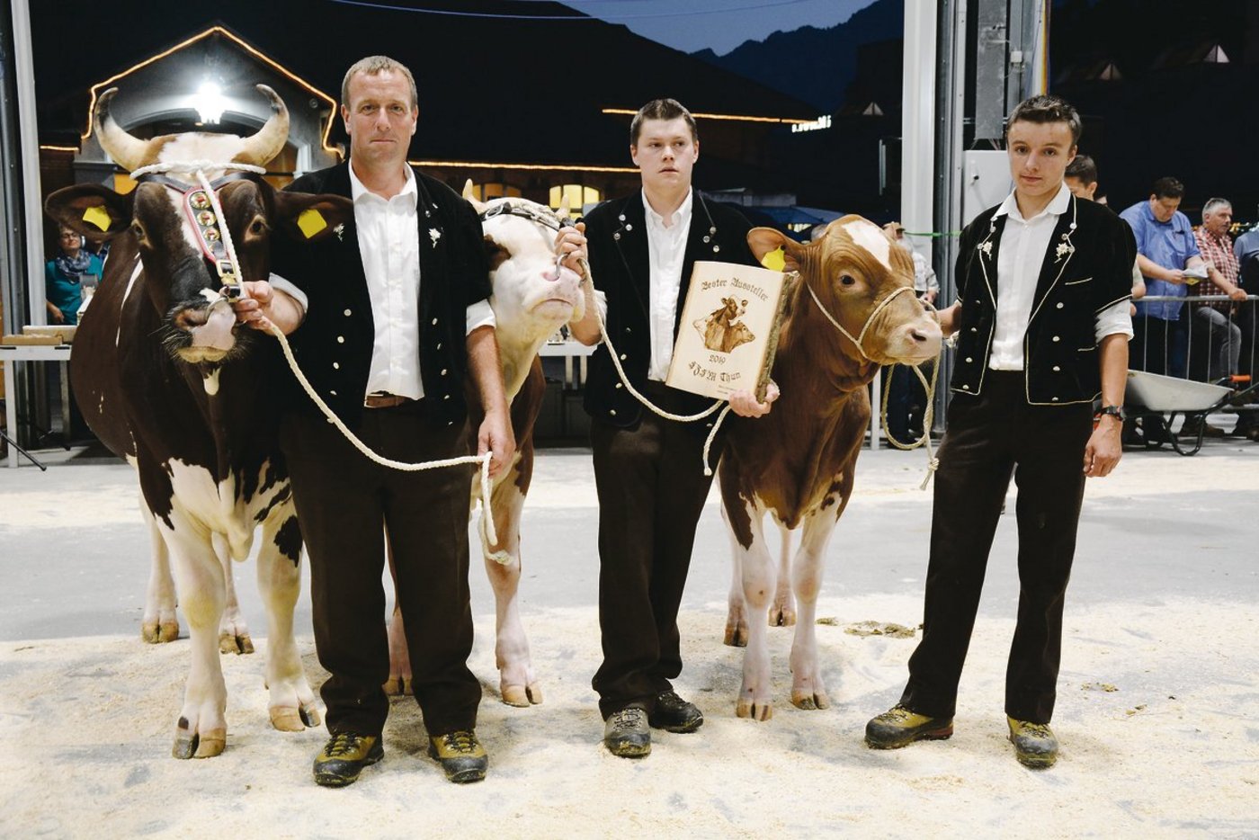 Rolf Dummermuths Gruppe brillierte. Der SF-Züchter, der selber als Experte im Einsatz stand, liess sich seine Stiere vorführen und gewann in Thun den Titel «Bester Aussteller».  (Bilder Simone Barth)
