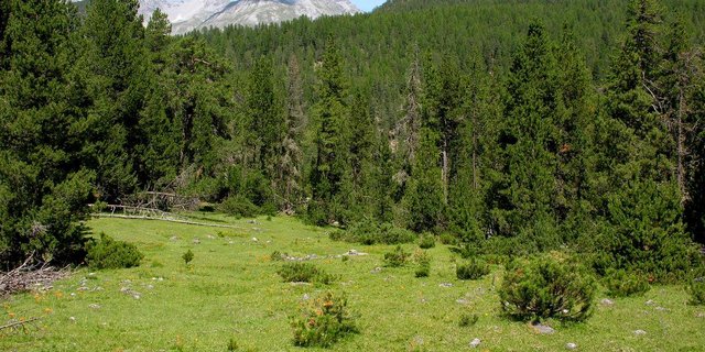 Die Nationalparkregion im Engadin hat die von der UNESCO gestellten Auflagen erfüllt. (Bild Hansueli Krapf / Wikimedia)