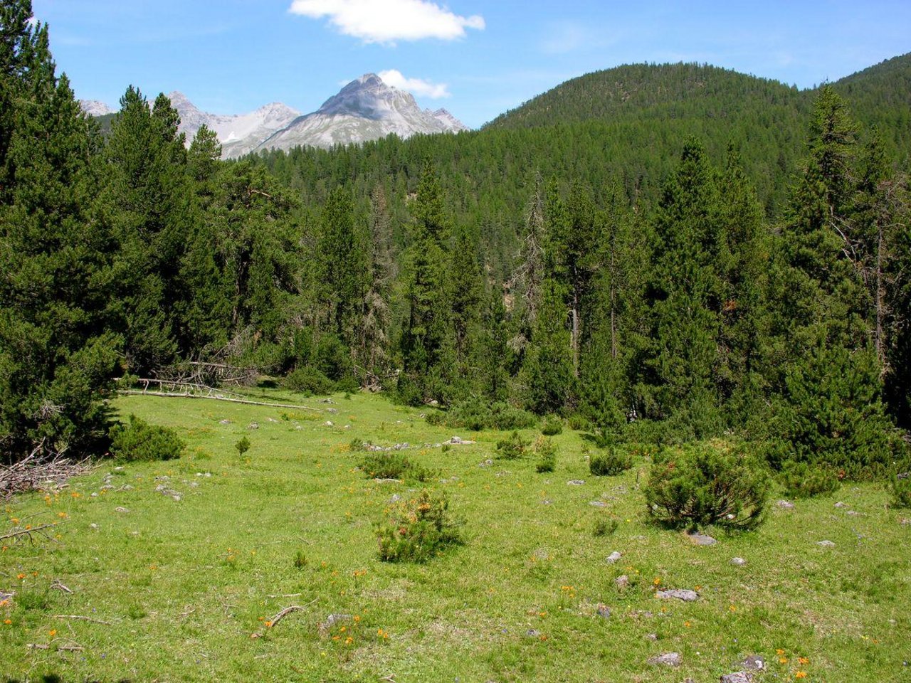 Die Nationalparkregion im Engadin hat die von der UNESCO gestellten Auflagen erfüllt. (Bild Hansueli Krapf / Wikimedia)