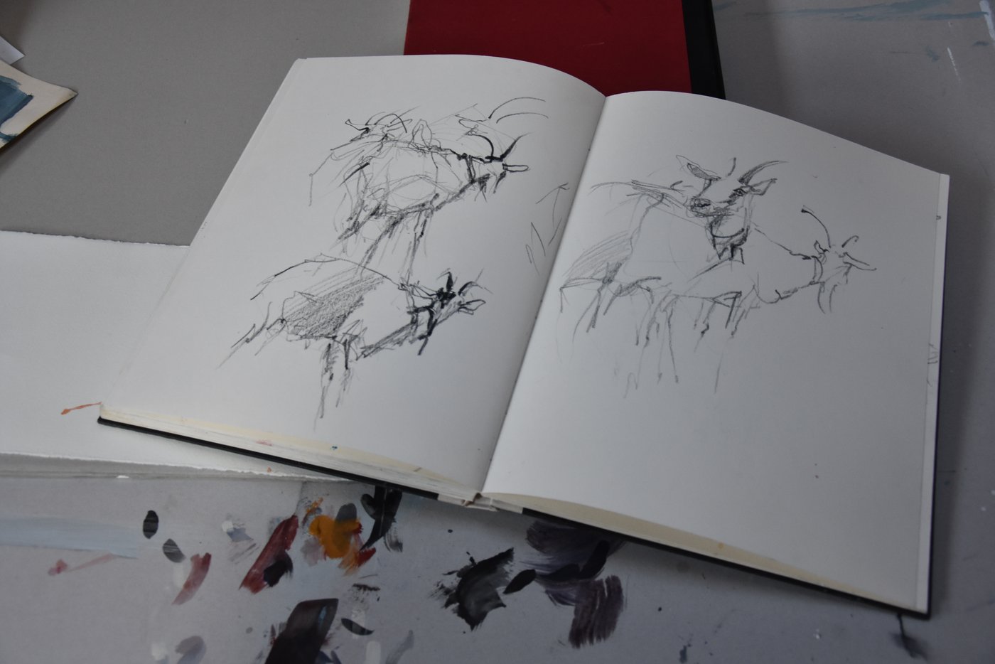 Unkonventionelle Körperhaltungen fasziniert die Künstlerin. (Bild BauernZeitung/sjh)