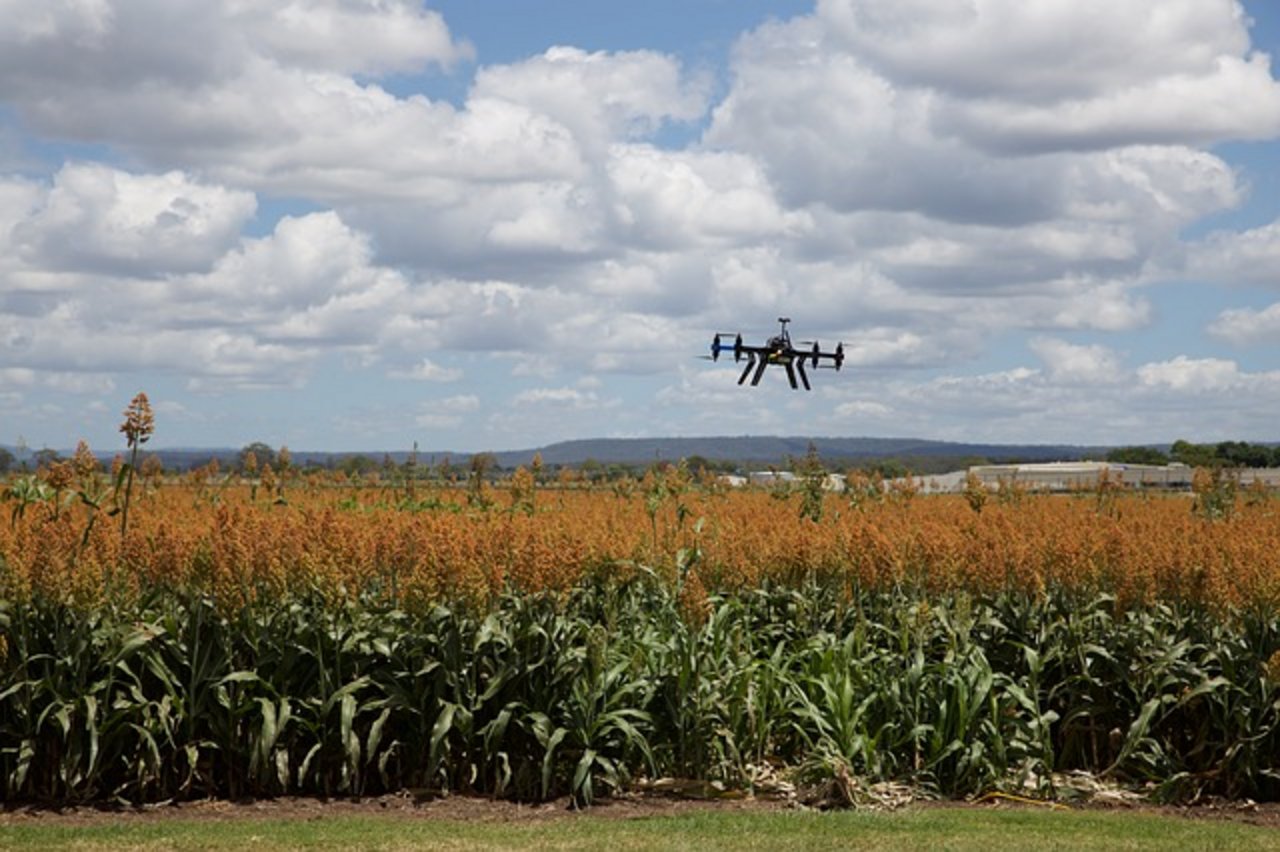 Die digitalisierte Landwirtschaft ermöglicht eine nachhaltigere und effizientere Bewirtschaftung. (Bild Pixabay)