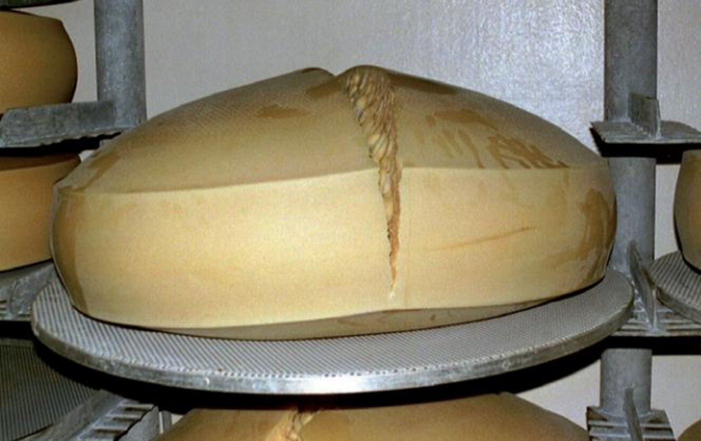 Fehlgärungen durch zu hohe Sporenbelastungen können zu Fehlgärungen führen. (Bild ZMP)