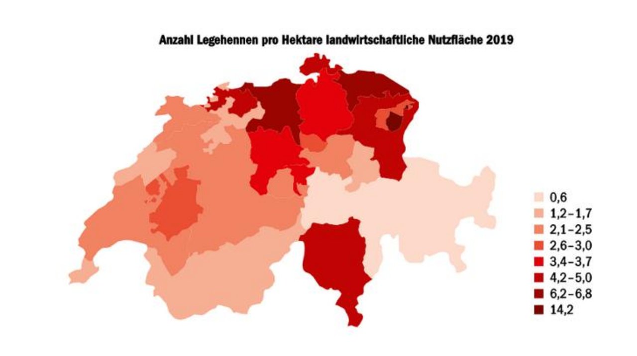 Vor allem in der Ostschweiz herrscht eine grosse Legehennendichte. In Appenzell Innerrhoden wurden 2019 je Hektare LN ganze 14,2 Hennen gehalten. (Quelle Agristat)