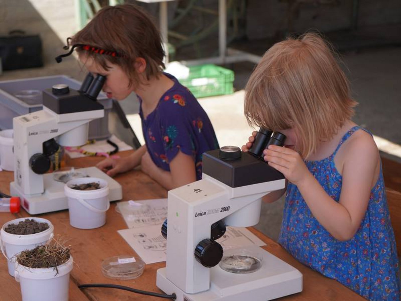 Aber nicht nur die Grossen kamen auf ihre Kosten. Auch die Kleinsten wurden mit spannenden Themen versorgt. (Bild Thomas Alföldi, FiBL)