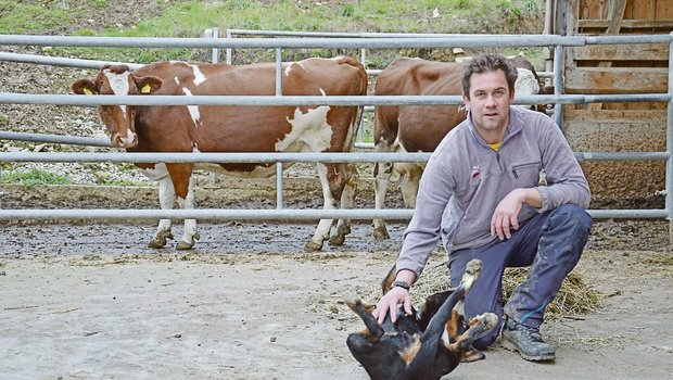 Benjamin Gasser setzt auf seinem Betrieb auf die Milchproduktion. Die 60 Kühe werden mit einem Roboter gemolken.(Bilder Marianne Stamm)