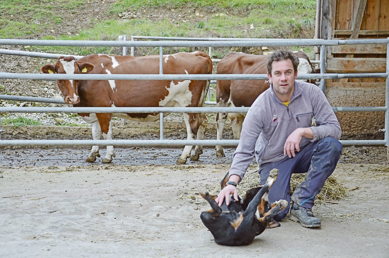 Benjamin Gasser setzt auf seinem Betrieb auf die Milchproduktion. Die 60 Kühe werden mit einem Roboter gemolken.(Bilder Marianne Stamm)
