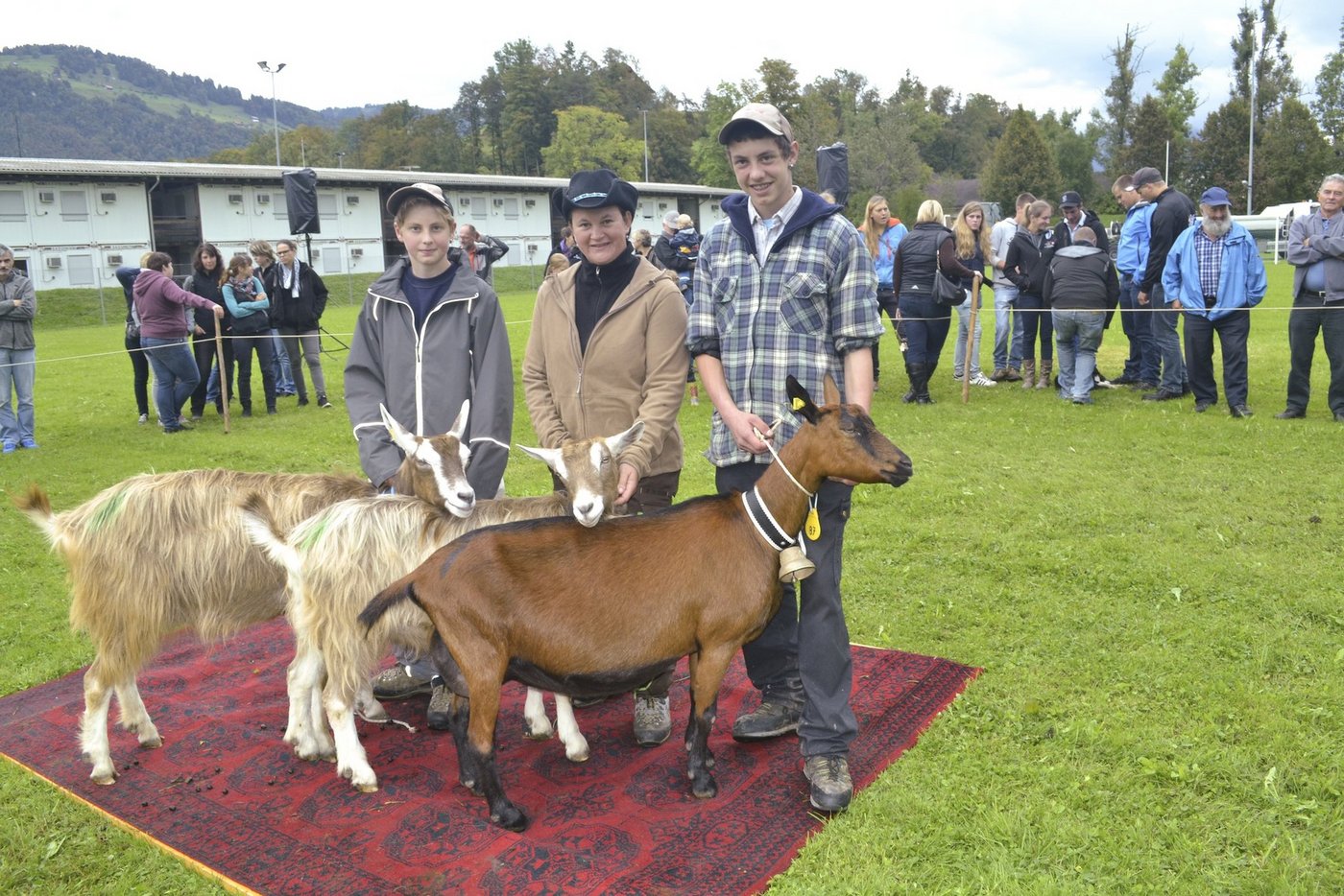 Präsentation der Siegergruppe im Schöneuter-Wettbewerb der älteren Ziegen. (Bilder Paul Küchler)