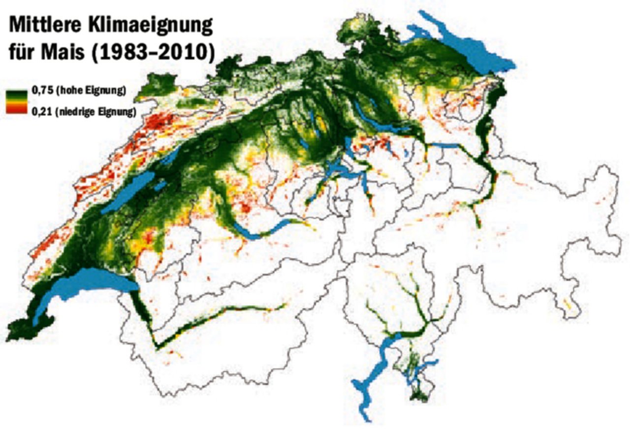 Ausgehend von der Temperatur war Mais in der Vergangenheit für ein grosses Anbaugebiet geeignet.