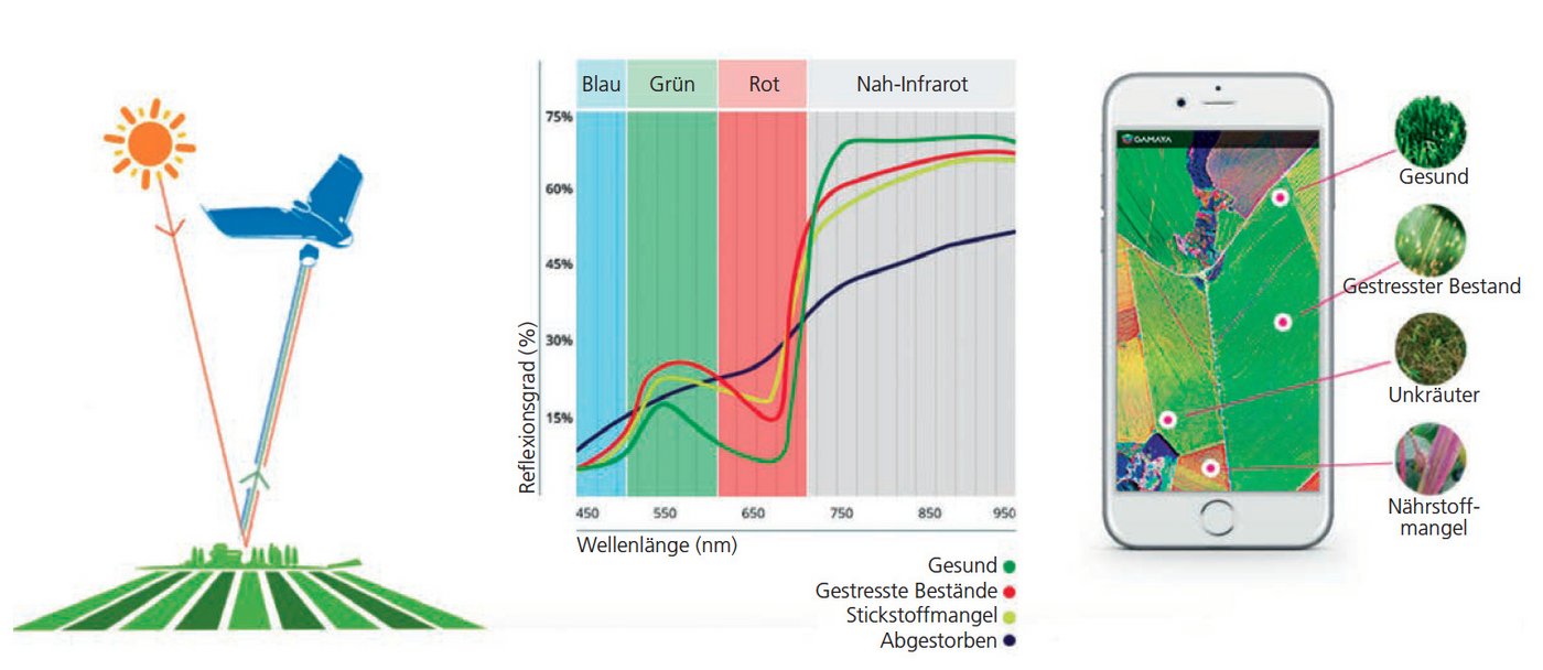 Die Anbaufläche wird mit einer Hyperspektral-Kamera aufgenommen. Die Gamayasoftware analysiert das reflektierte Licht, zeigt mögliche Probleme und Handlungsbedarf auf. (Grafik: Gamaya)
