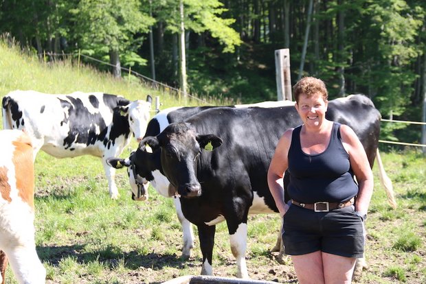 Bäuerinnenporträt: Erika Rickenbacher-Geissbühler war eine Vollblut-Züchterin «Meine Mädels» nennt Erika Rickenbacher die 50 Rinder und 12 Mutterkühe, die sie 130 Tage auf der Alp Zeglingen BL auf rund 750 m ü. M. hirtet. (Bilder Benildis Bentolila)
