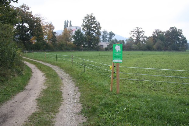 Unfällen mit Rinderherden vorbeugen, bevor etwas passiert Infotafeln an den Weidezäunen können Unfälle mit Rinderherden und unwissenden Besuchern verhindern. (Bild BUL)