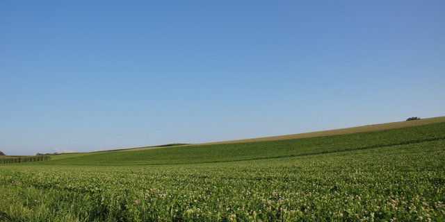 Unberührte Äcker werden rarer. (Bild ji) 