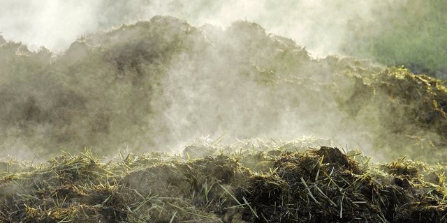 Wie lässt sich Hofdünger lagern, damit weniger Emissionen entstehen? 